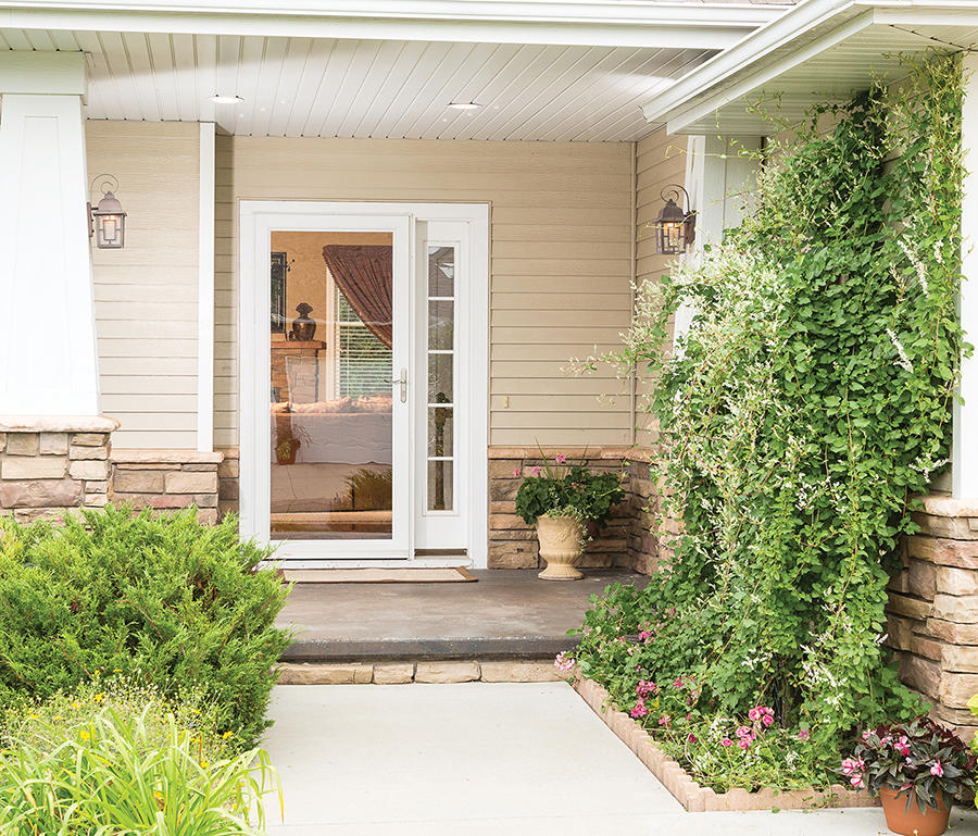 Storm Door from Window World