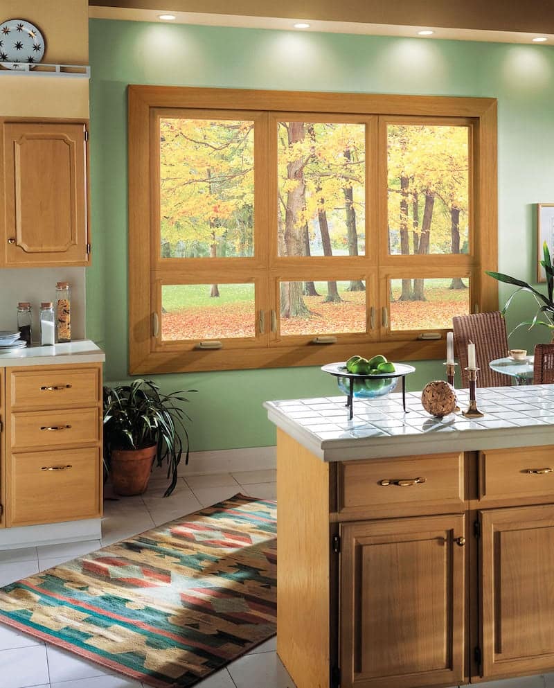 Awning window with fall view.